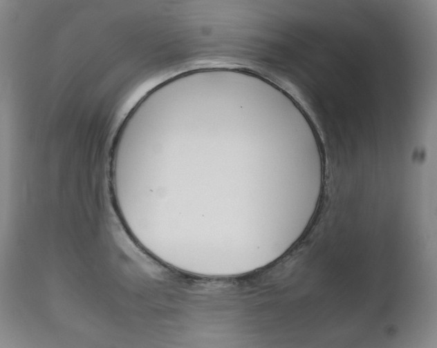 X0000111121187200906301035