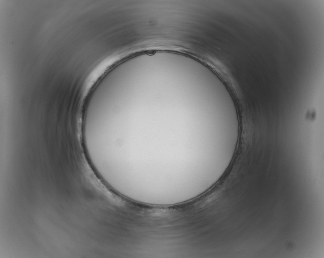 X0000111121188200906301035