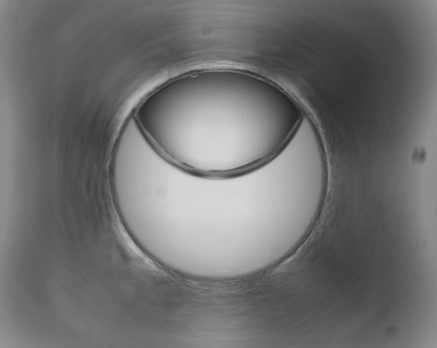 X0000111121189200906301035