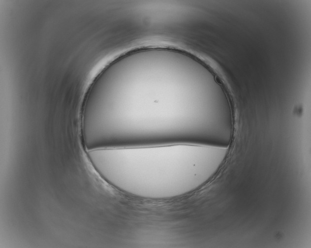 X0000111121191200906301035