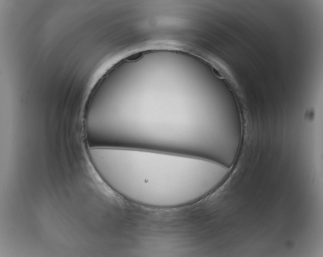 X0000111121192200906301035