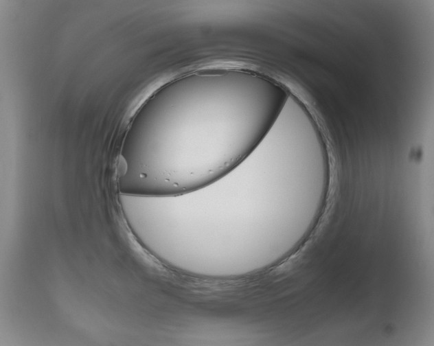 X0000111121193200906301034