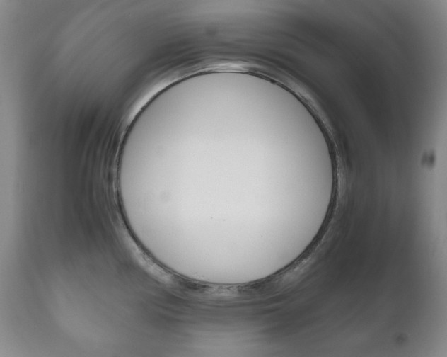 X0000111121194200906301034