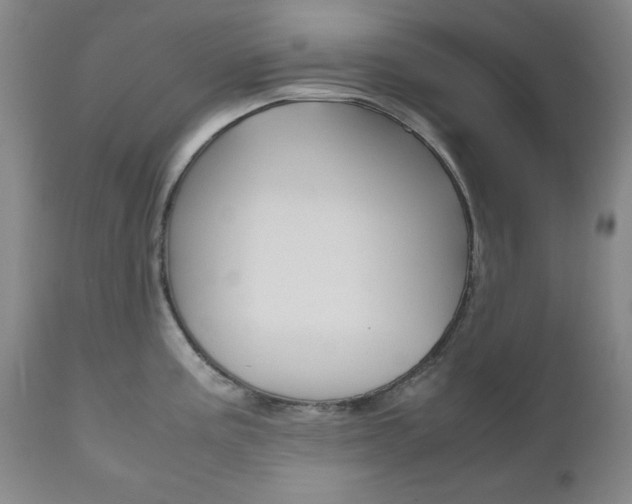X0000111121195200906301034