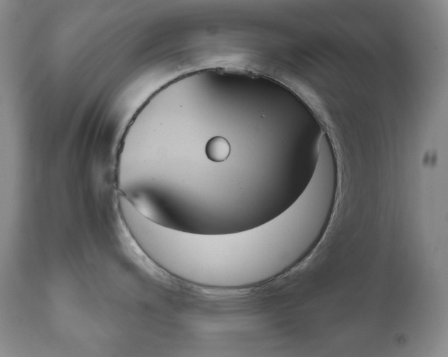 X0000111121200200906301034