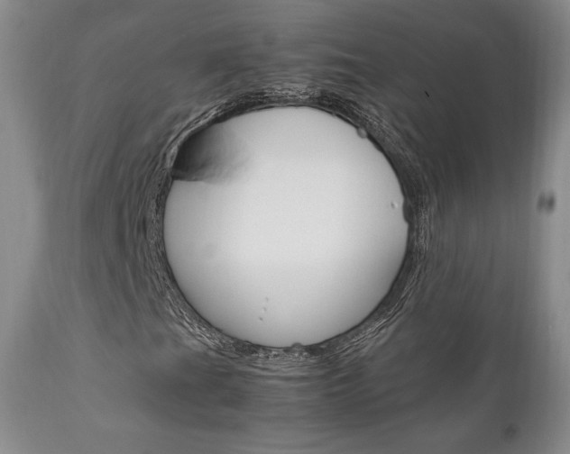 X0000111121201200906301034