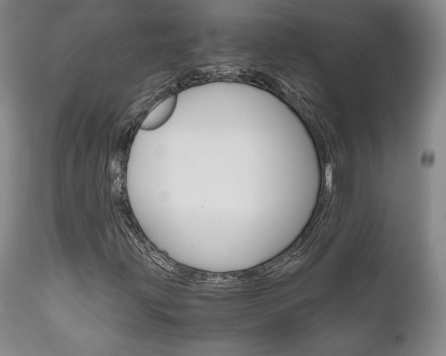 X0000111121203200906301034