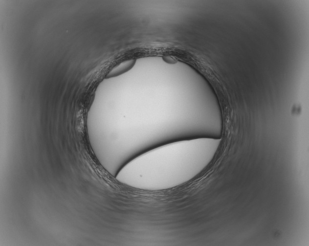 X0000111121204200906301034