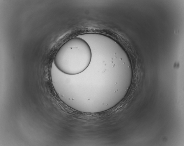 X0000111121205200906301034