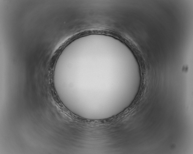 X0000111121208200906301034