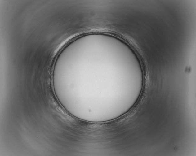 X0000111121212200906301034