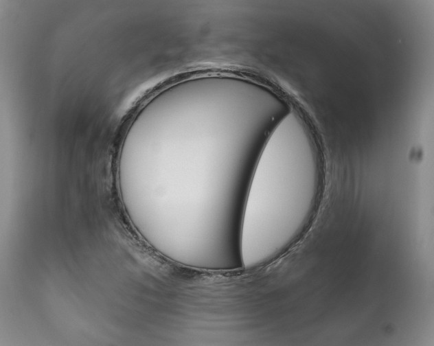 X0000111121214200906301034