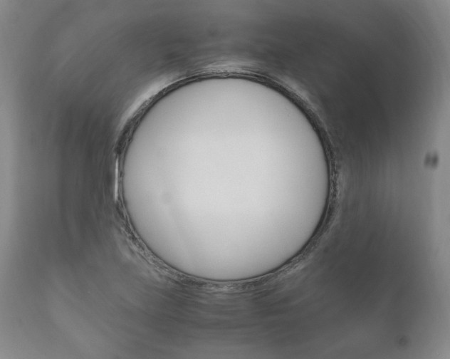 X0000111121219200906301034