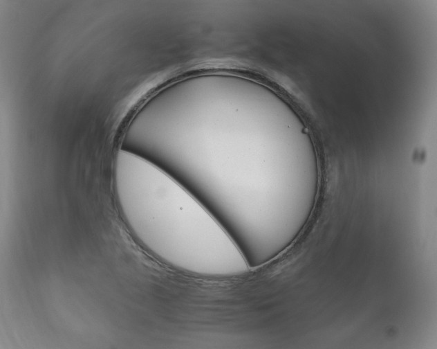 X0000111121221200906301034