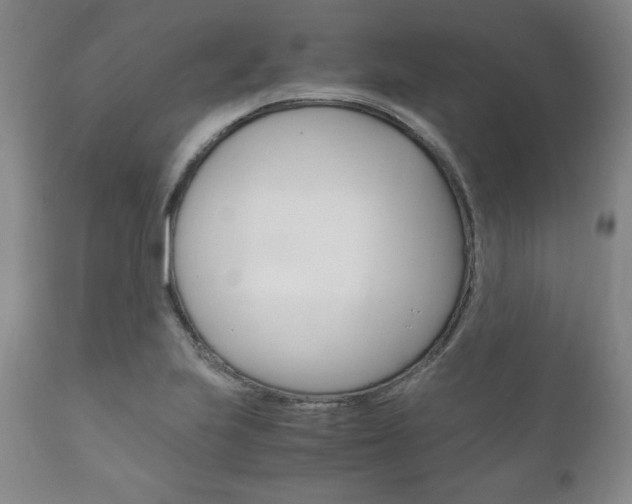 X0000111121223200906301034