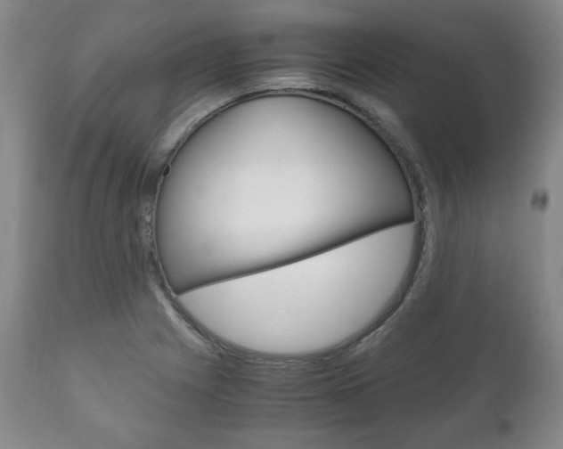 X0000111121225200906301034