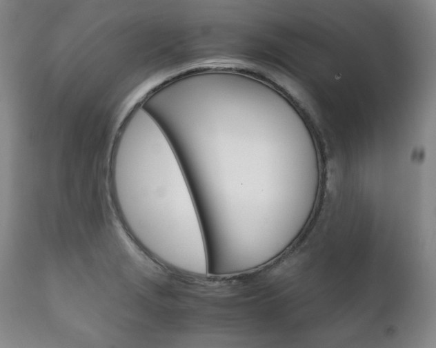 X0000111121229200906301034