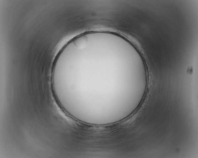 X0000111121231200906301034