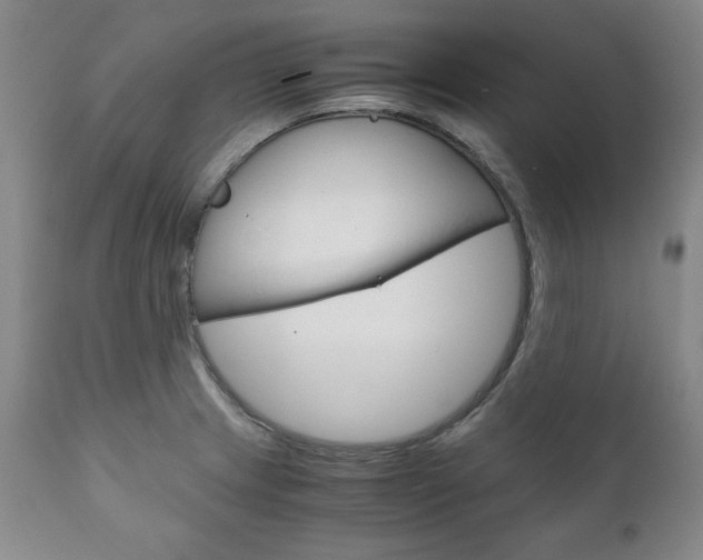 X0000111121233200906301034