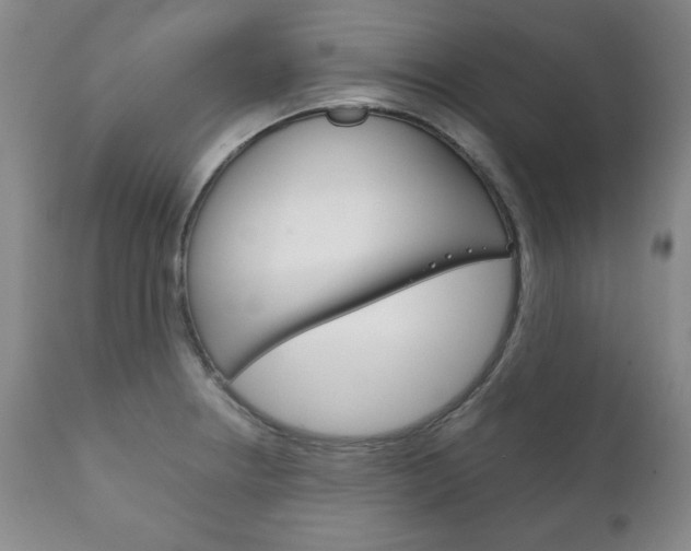 X0000111121234200906301034