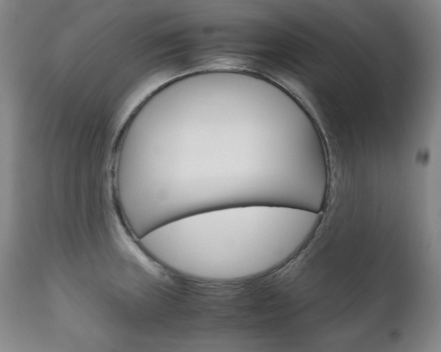 X0000111121235200906301034