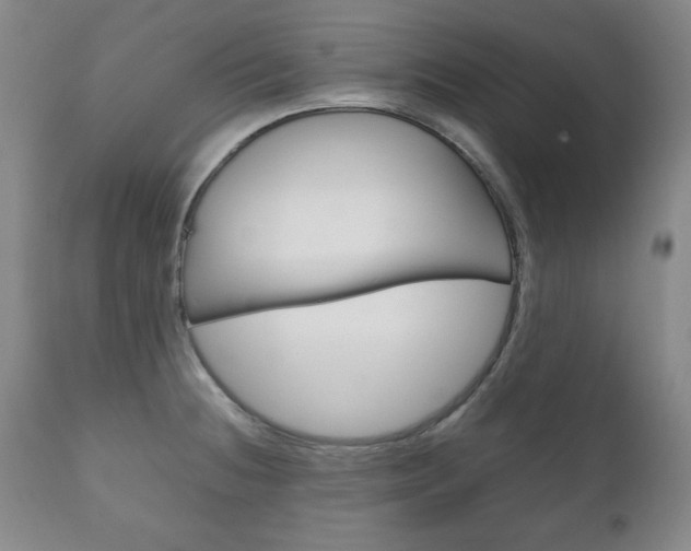 X0000111121236200906301034