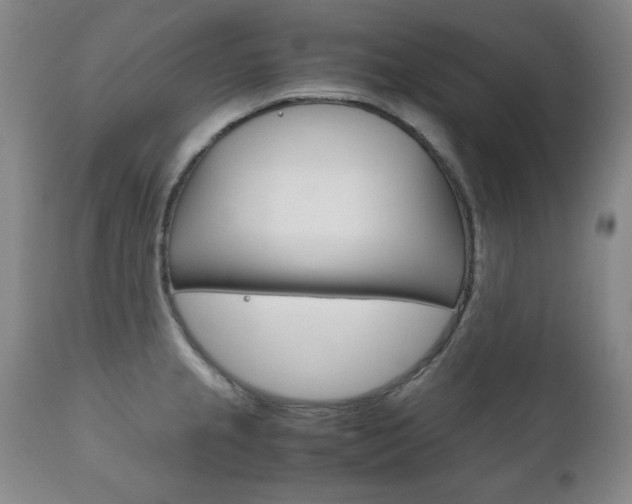 X0000111121237200906301034