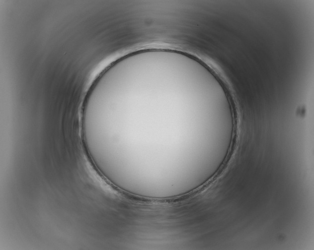 X0000111121238200906301034