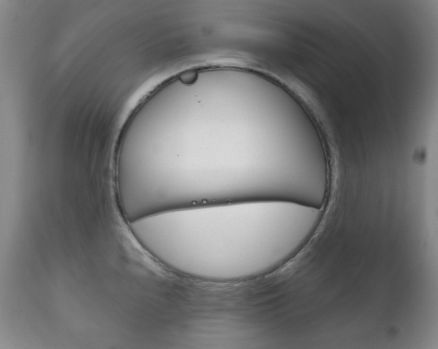 X0000111121240200906301034