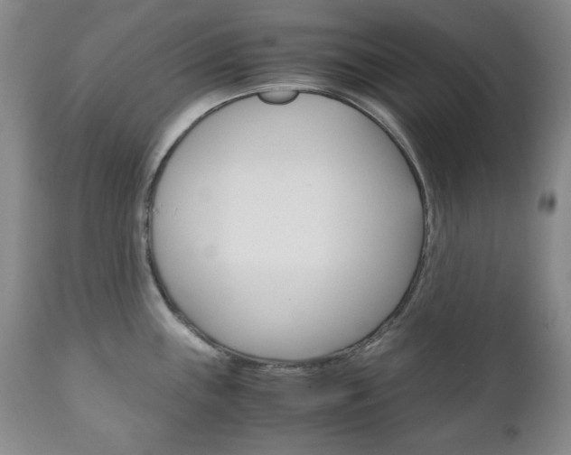 X0000111121243200906301034