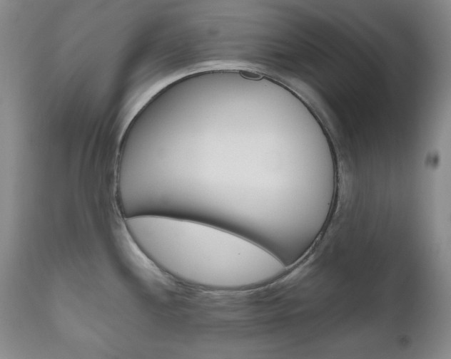 X0000111121244200906301034