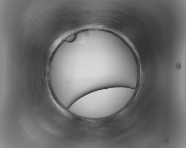 X0000111121245200906301034