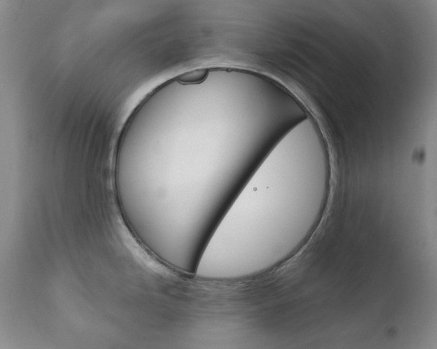 X0000111121246200906301034