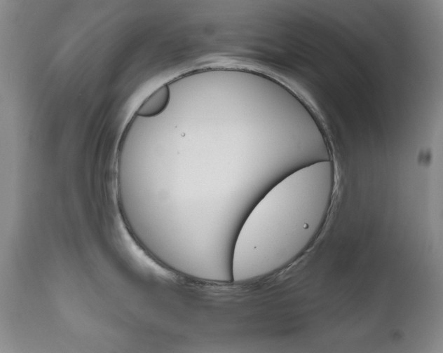 X0000111121247200906301034