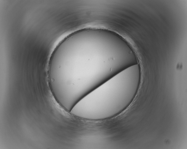 X0000111121248200906301034