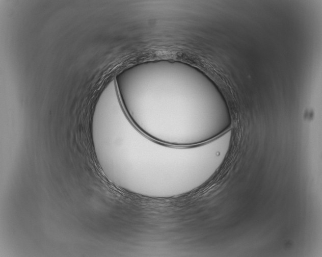 X0000111121249200906301034