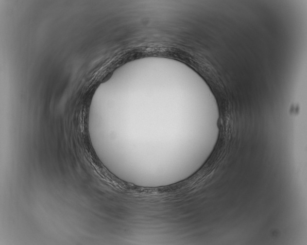 X0000111121250200906301034
