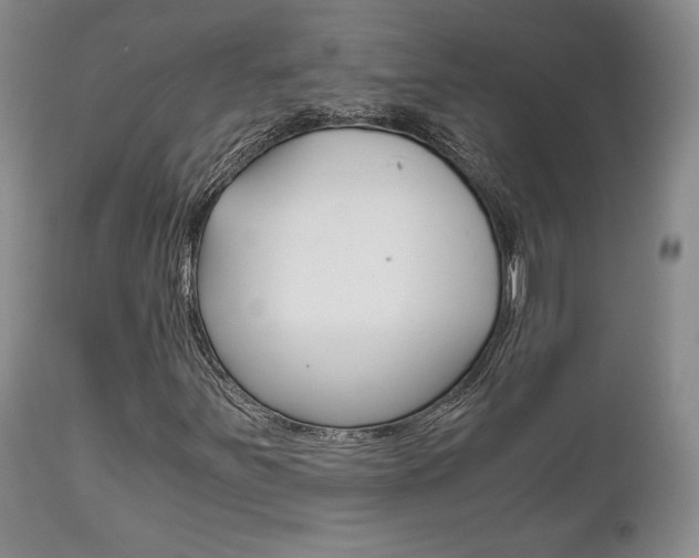 X0000111121251200906301034