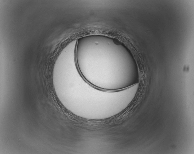 X0000111121253200906301034