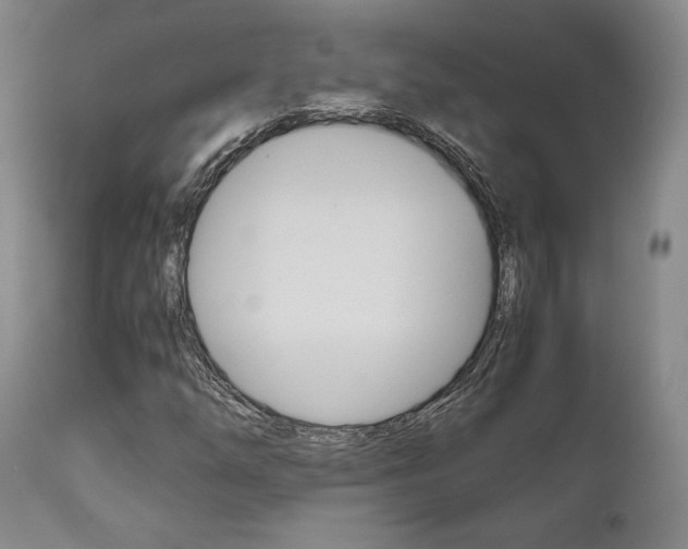X0000111121254200906301034