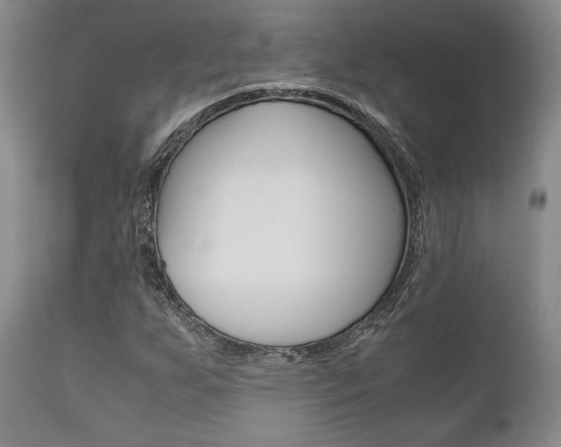 X0000111121255200906301034