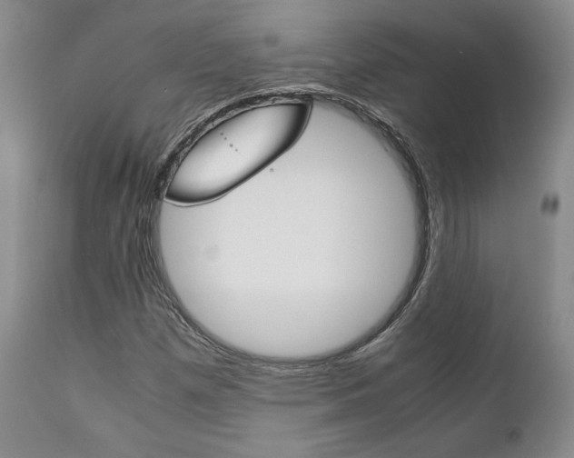 X0000111121257200906301033