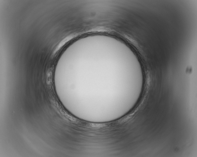 X0000111121258200906301033