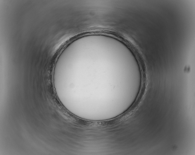 X0000111121259200906301033
