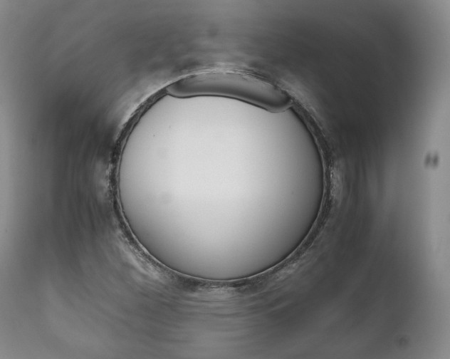 X0000111121260200906301033