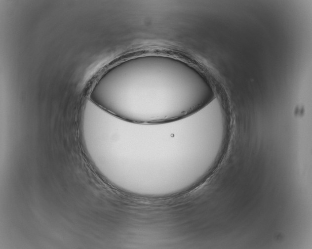 X0000111121261200906301033