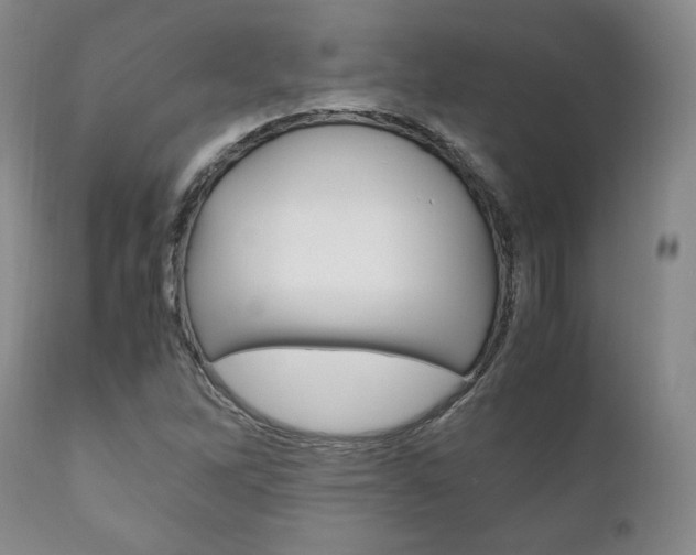 X0000111121262200906301033