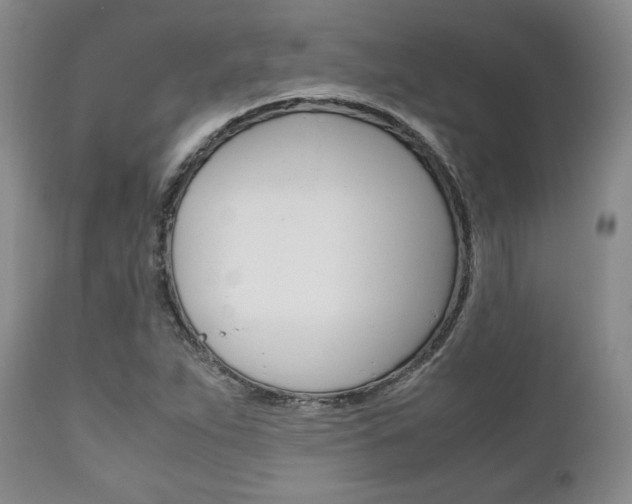 X0000111121263200906301033