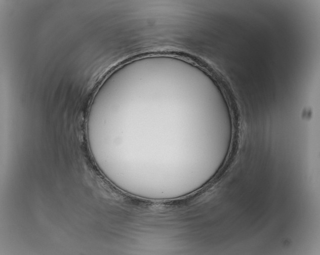 X0000111121265200906301033