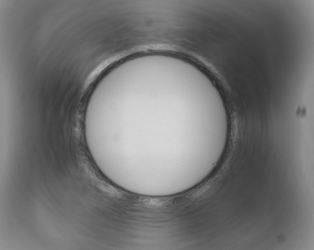 X0000111121266200906301033